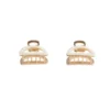 2 Metallic Mini Hair Clips