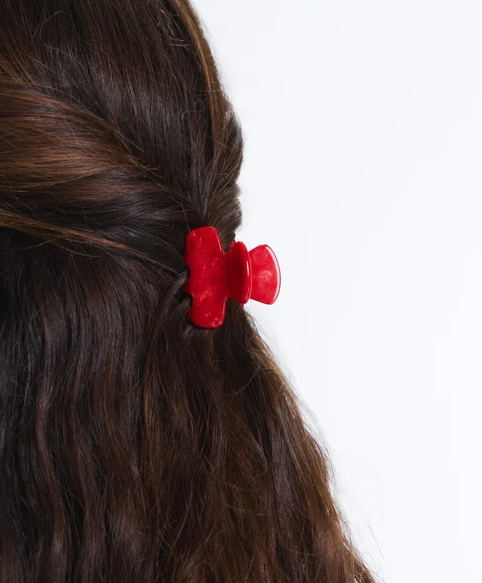 2 Mini Hair Clips 2 Mini Hair Clips