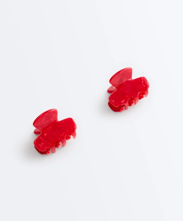 2 Mini Hair Clips 2 Mini Hair Clips